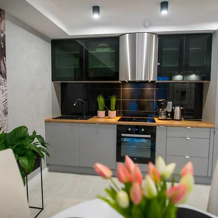 Nowoczesny Na Warmii I Mazurach Z Garazem Biskupiec (Olsztyn)